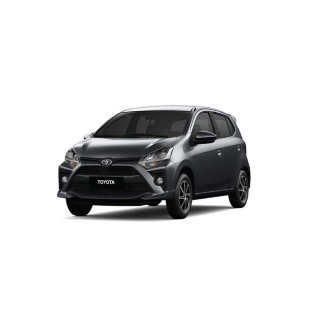 Gray Wigo Gray Wigo - Hatchbacks & Wigos